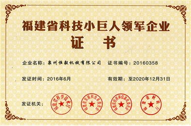 Fujian science and technology little giant leading tnterprise certificate