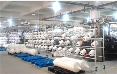 Jiangsu shenghao textile